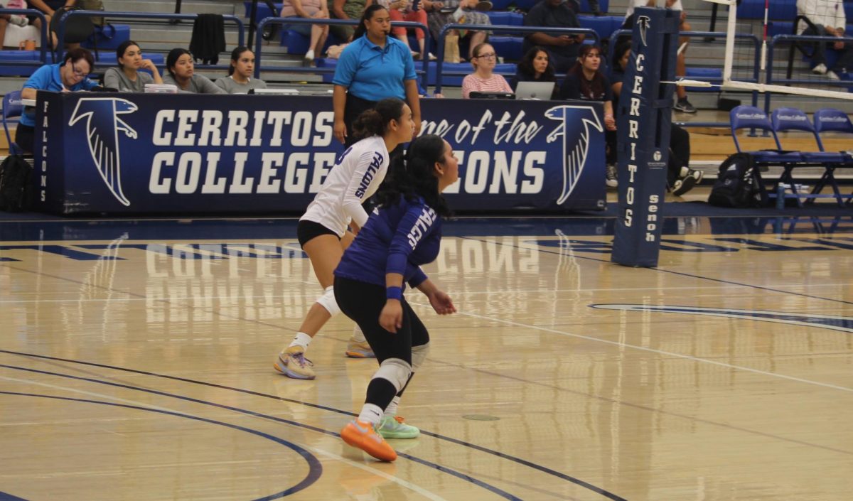 Defensive Specialist Priscilla Castillo (in blue) focusing on the ball Photo credit: Jonathan Diaz