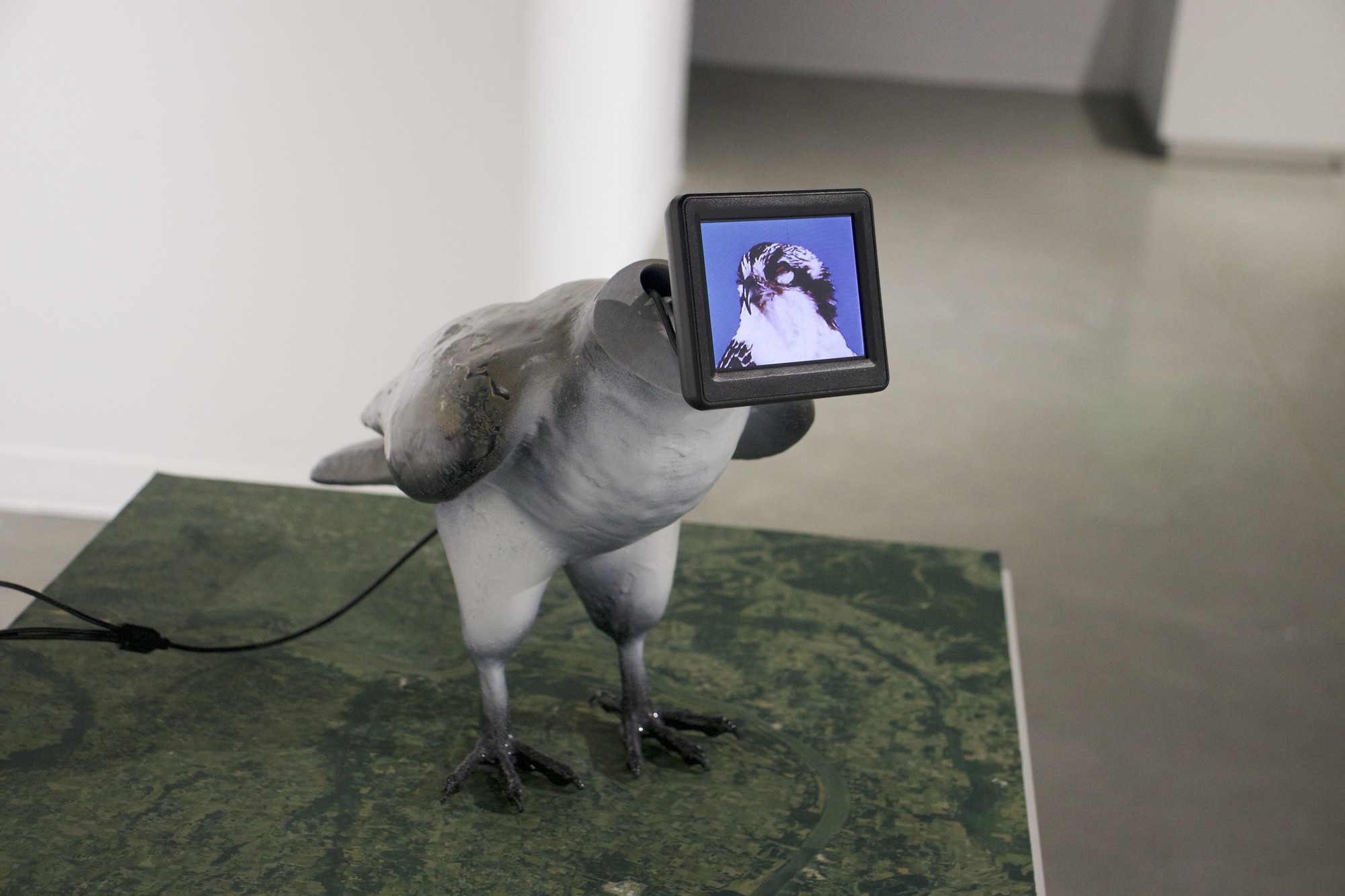 Training Set, 2024 by McLean Fahnestock. This is one half of a pair of ospreys who mirror each other as they learn how to adapt to their environments. This reflective of the relationship between humans and AI. 