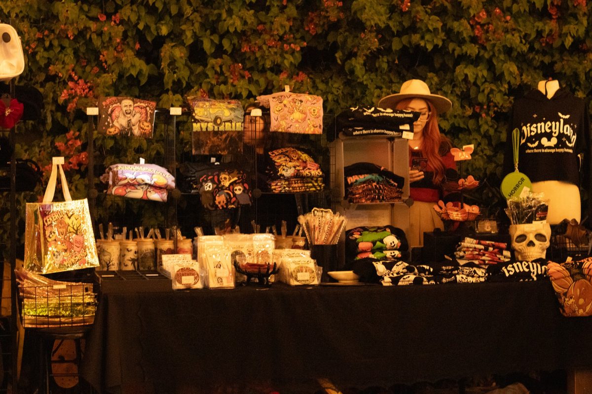 Vendor selling shirts, tote bags, hair clips, etc. waiting for customers. 