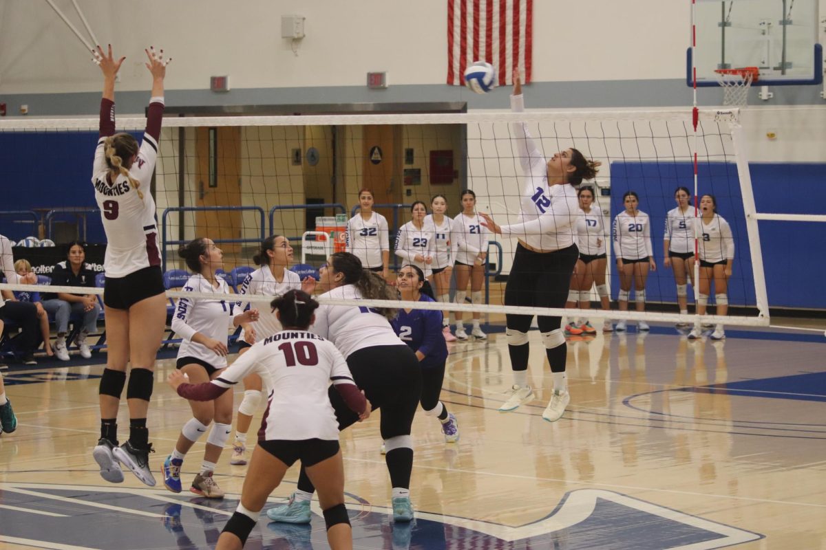 Monserrat Rodriguez spiking volleyball down Photo credit: Jonathan Diaz