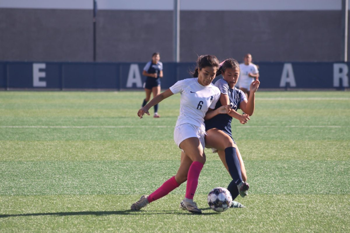 Alexis Bakalar's performance in net leads the Falcons to 3-1 win.