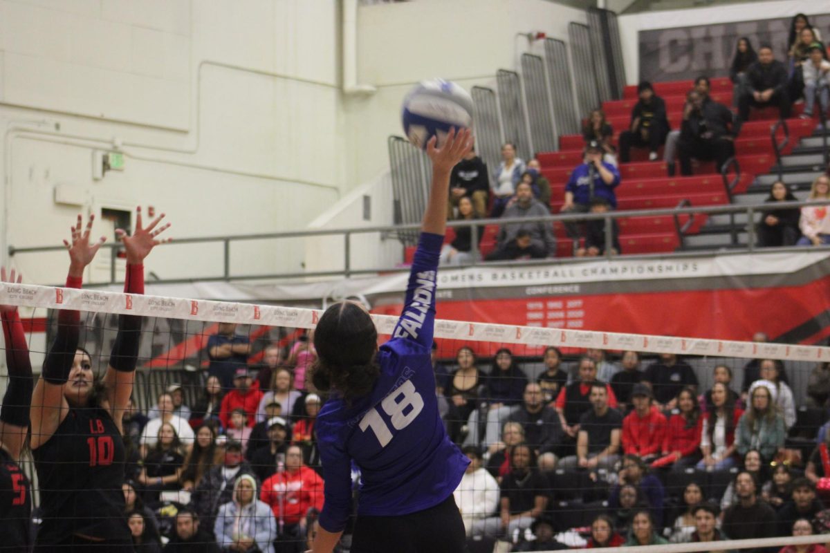 Cerritos College Falcons faced a 3-0 loss to Long beach City College Vikings in their second match up of the season.