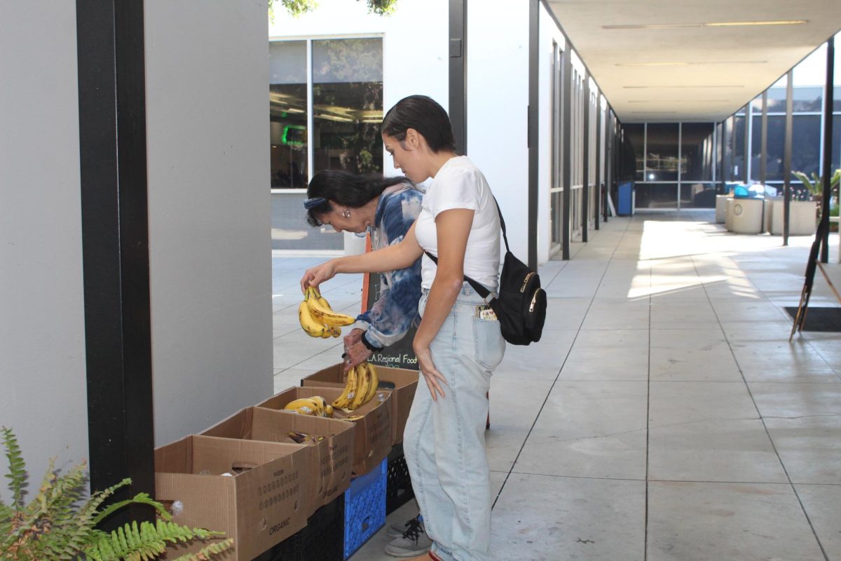 Franco's Market at the Cerritos College Falcon's Nest offered bananas for people to take. This was on Nov. 21, 2024 for their Open House event. Two community members were getting bananas. Photo credit: Alyssa Mejia