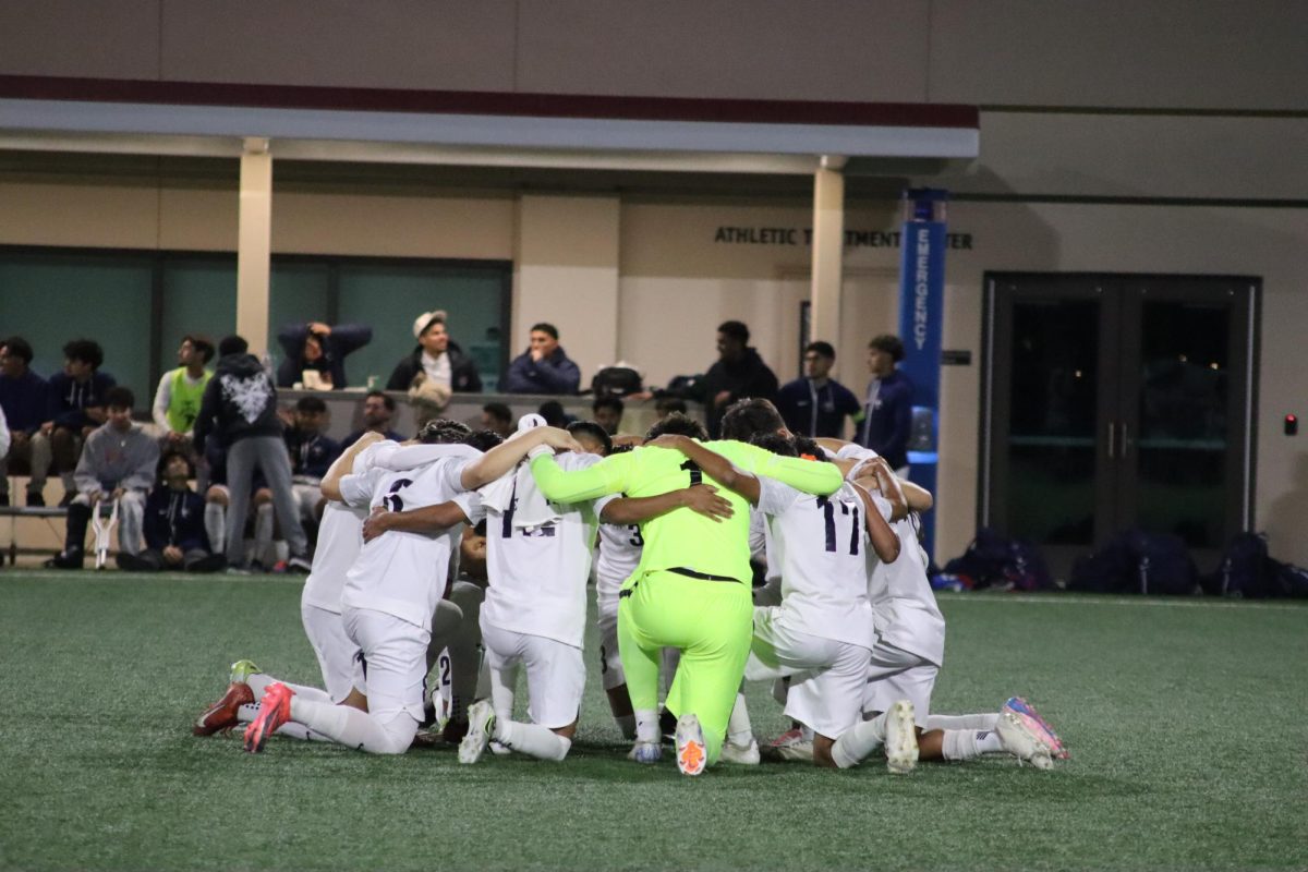 Cerritos College Falcons lost to the Long Beach City College Vikings 3-1 in The Southern California Regional Championships final.