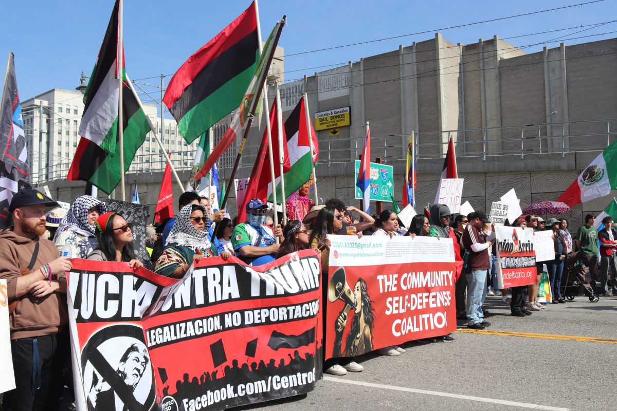 Group of protesters marching down Alameda  Street during the march against ICE and deportations on Feb. 17, 2025.